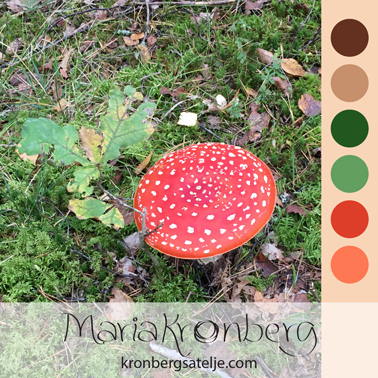 Fly agaric