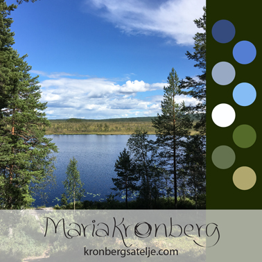 Bogland. Hästängsflottens nature reserve, Dalarna, Sweden.